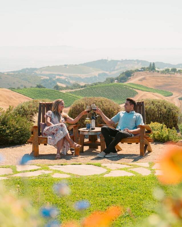 The vineyards of DAOU Mountain