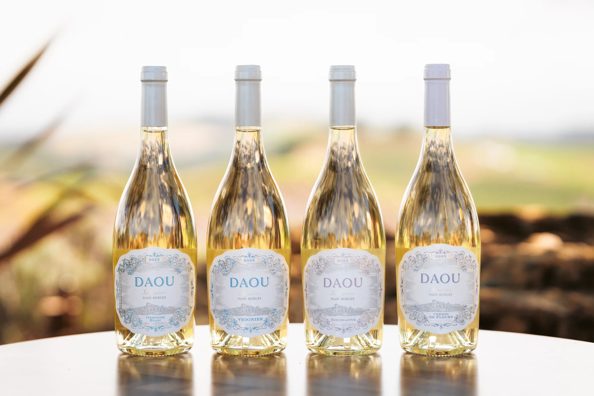 The Chemin Collection — four bottles at the vineyard, late-day light.