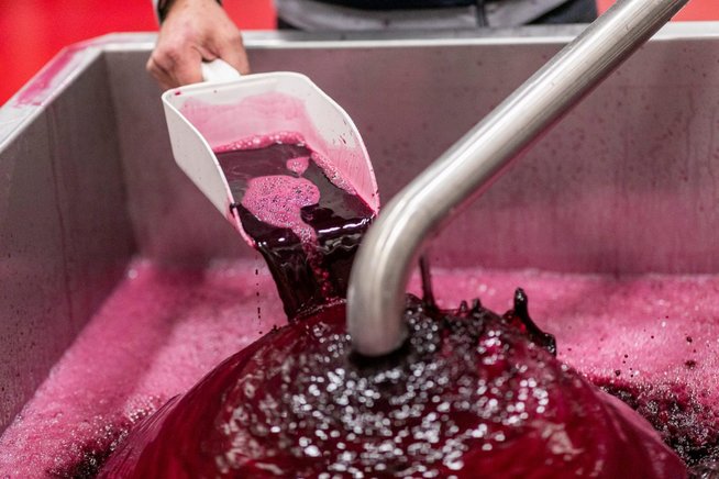 Juice from the grapes at first press