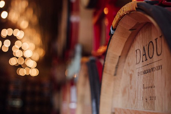 Close up of wine aging barrels