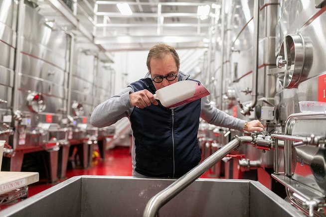 Winemaker inspects grapes in front of tanks