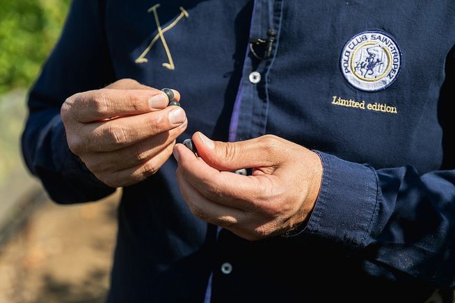 Winemaker inspects grapes