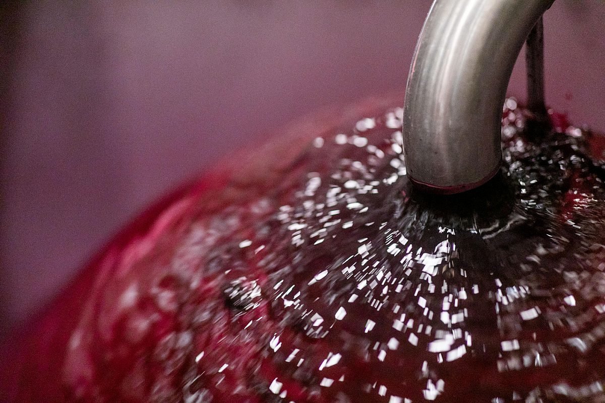 Closeup of freshly pressed grape juice for winemaking