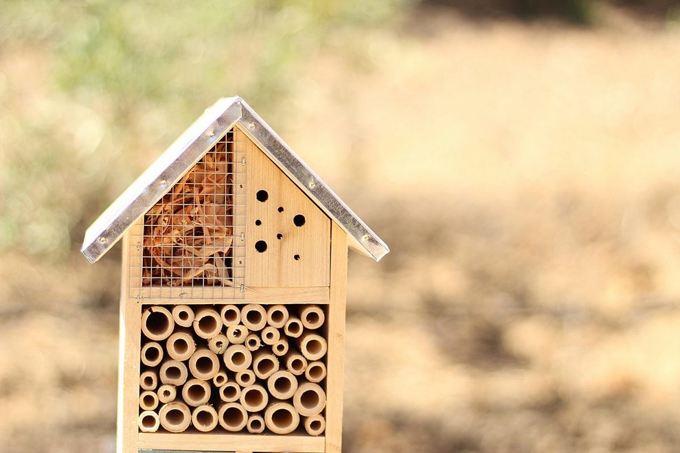 A birdhouse in the vineyard