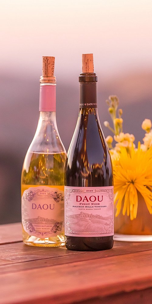 A bottle of white wine and a bottle of red wine