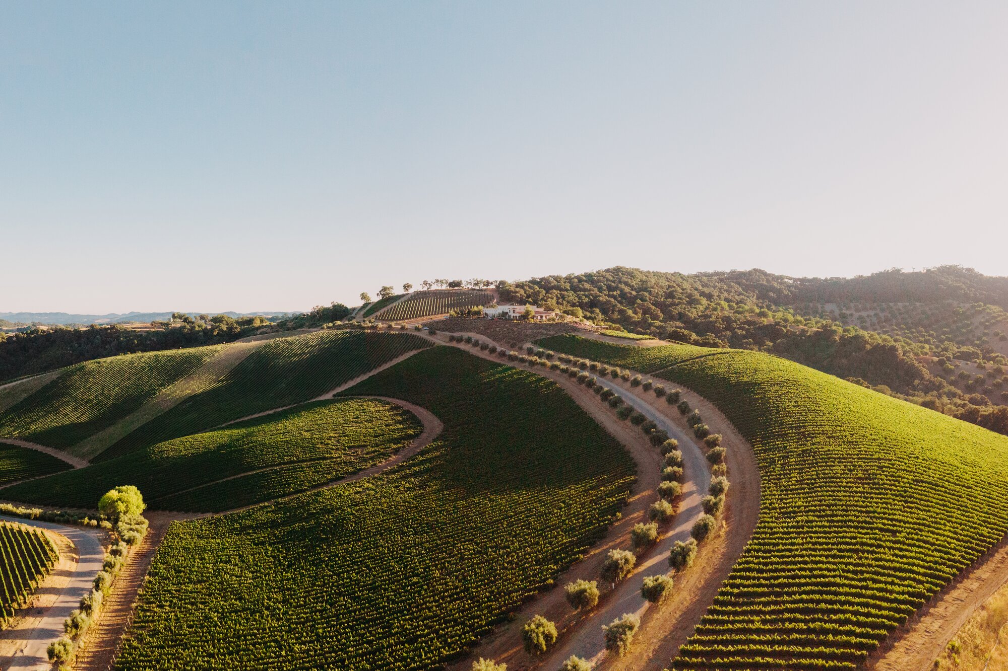 Winemakers in the barrel room