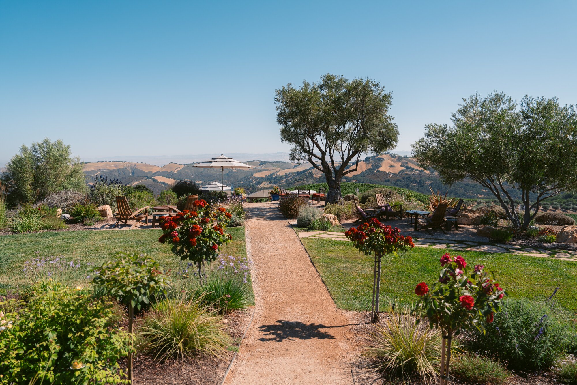 A cover image of Wines & Vines magazine with Tchelistcheff and Hoffman