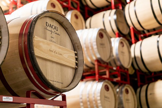 Wine barrels in storage