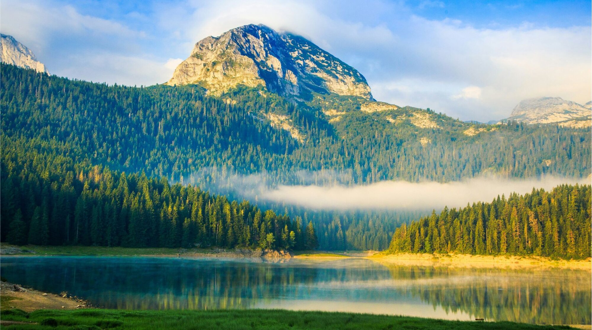 mountains and greenery in montenegro