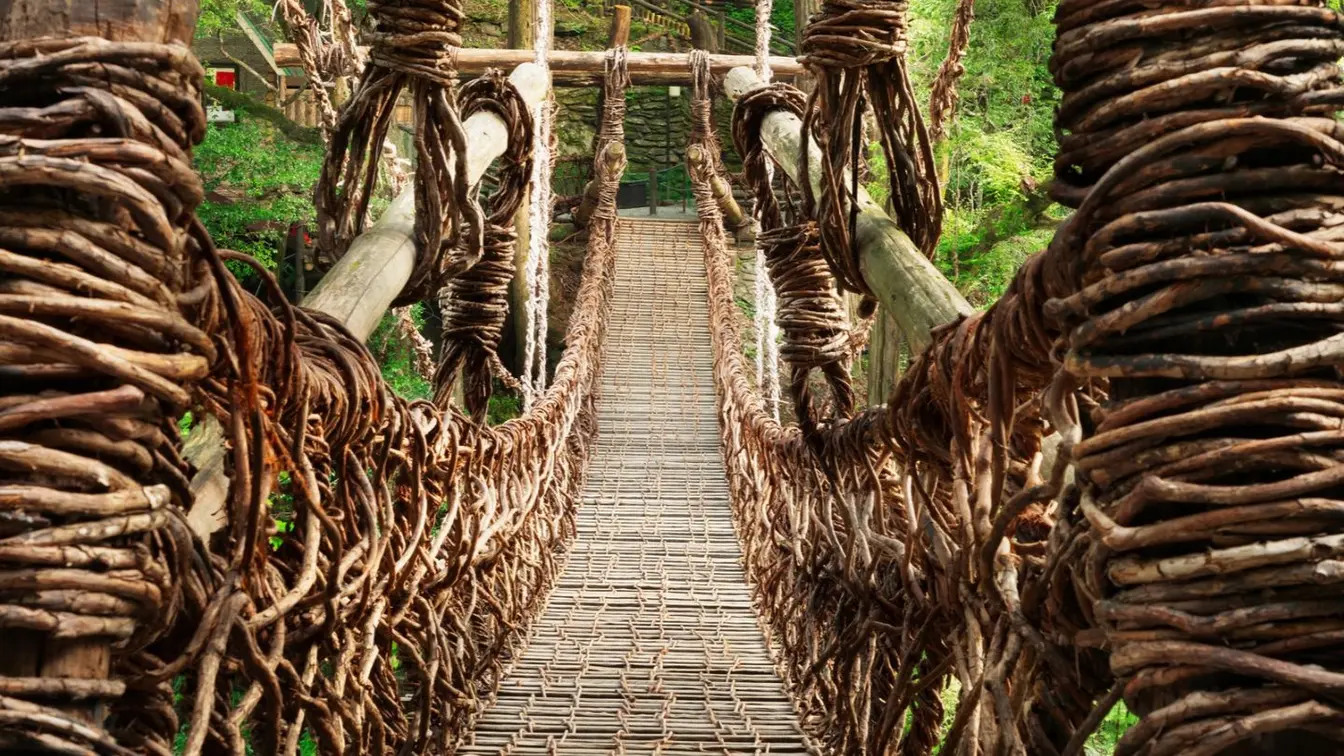 Close-up view of a traditional vine bridge in the Iya Valley, Japan.