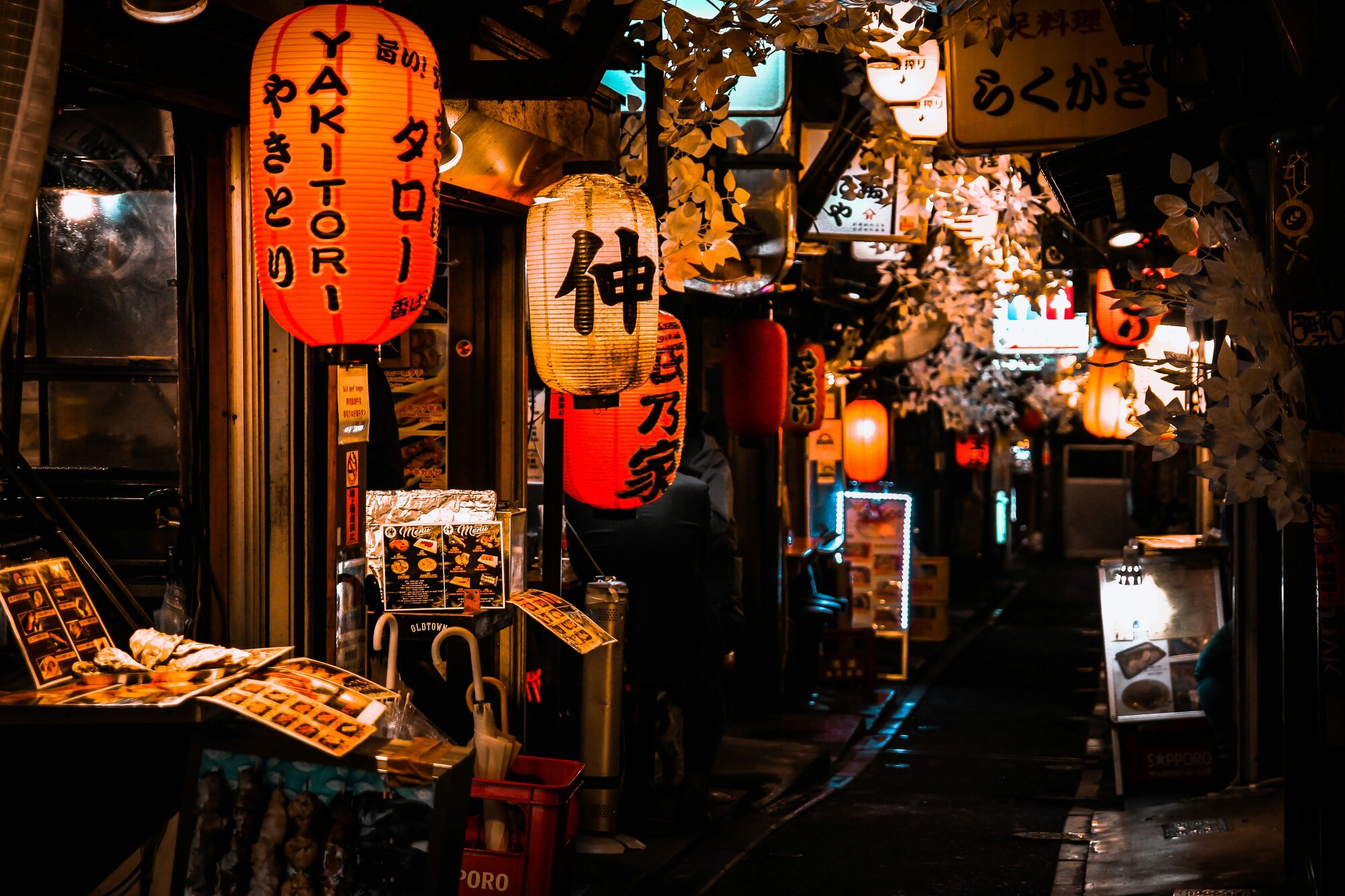 Omoide Yokocho, Tokyo