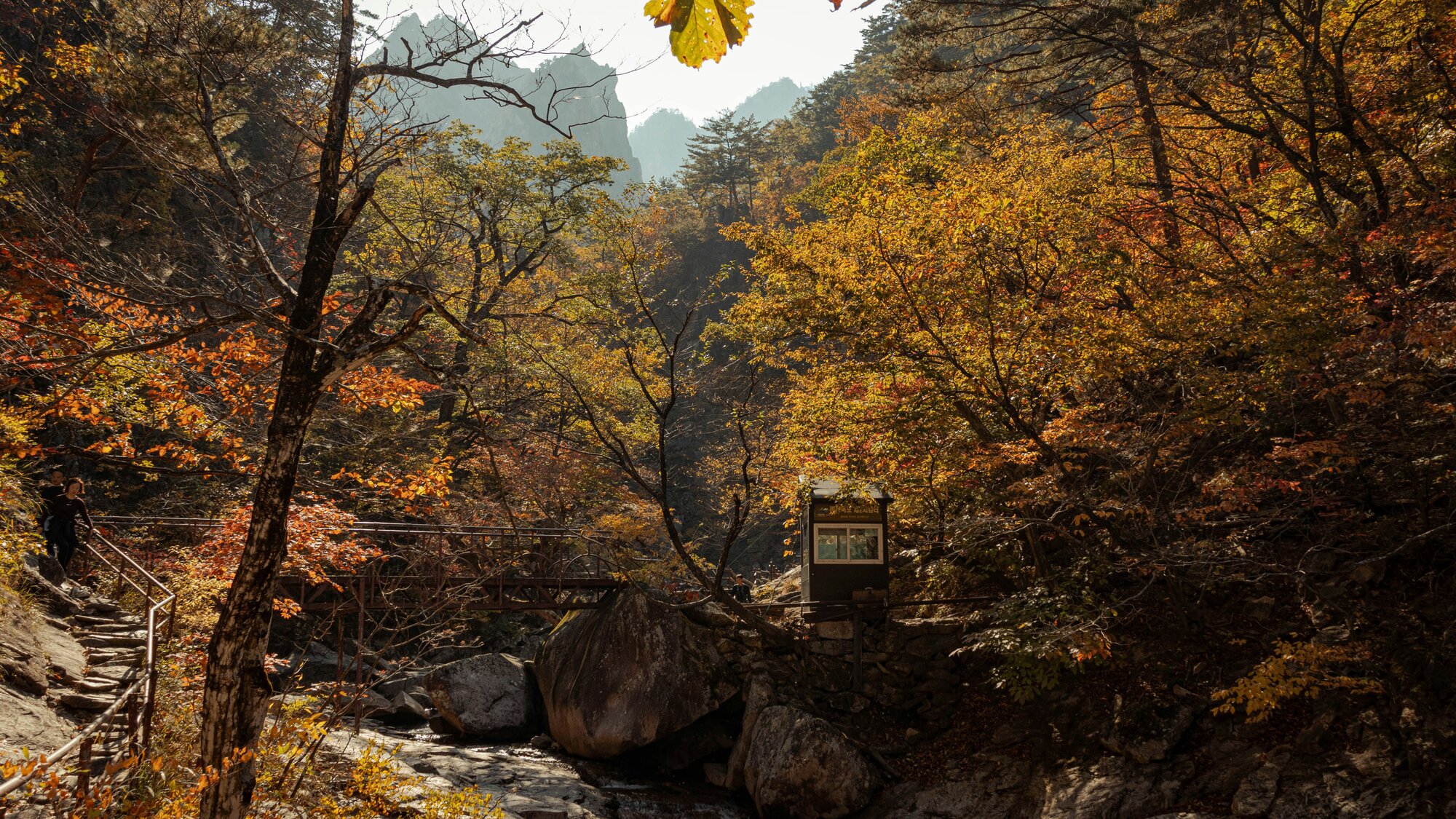 Fall foliage along a hiking trail in Seoraksan National Park