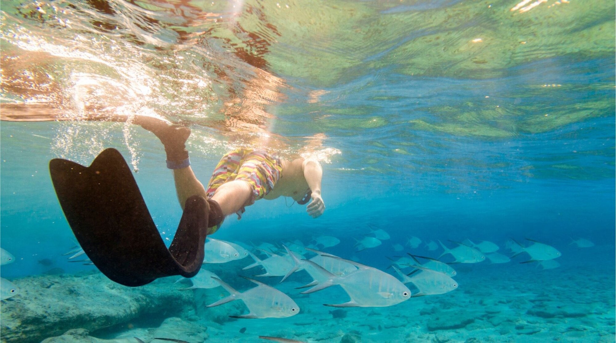 Mergulho com peixes