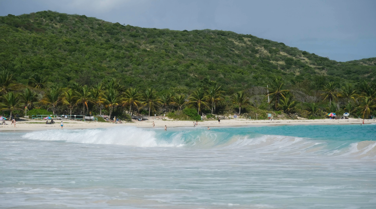 Beach on Culebra Island, Puerto Rico