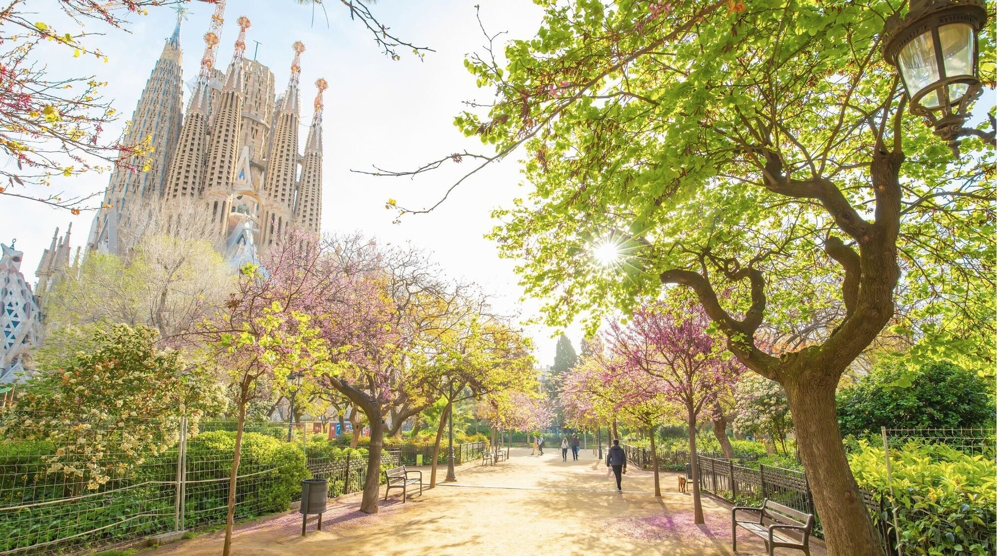 Bela tarde de sol em Barcelona durante a primavera. Parque com árvores floridas e vista para Sagrada Família.