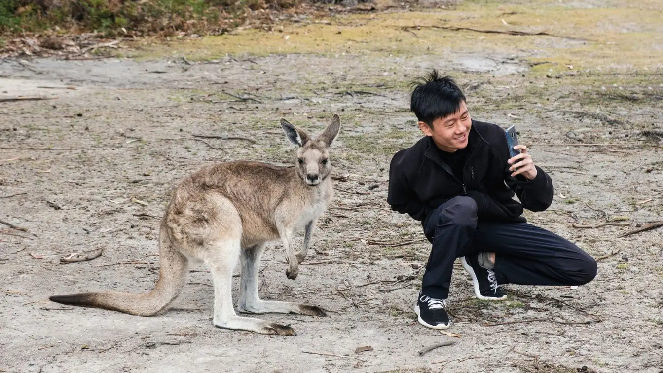 Jeune homme prenant un selfie avec un kangourou dans une réserve animalière en Australie.