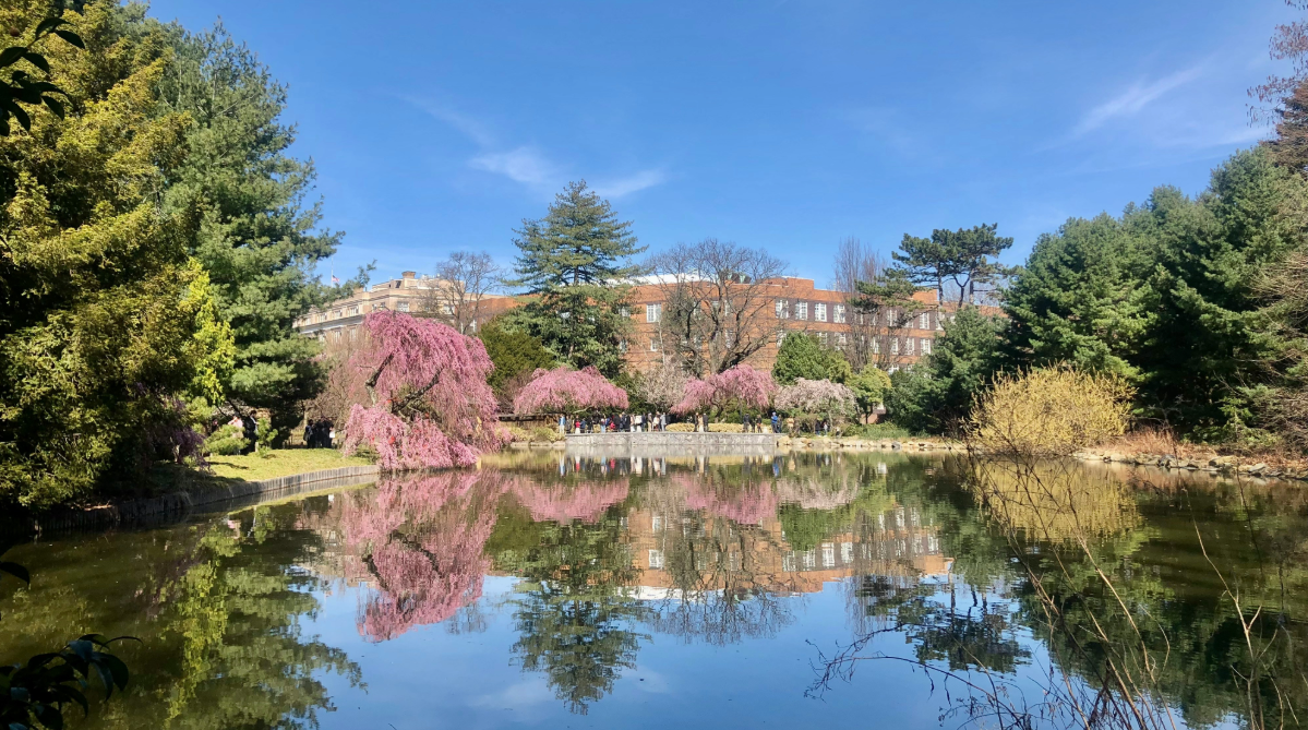 Brooklyn Botanic Garden, New York City