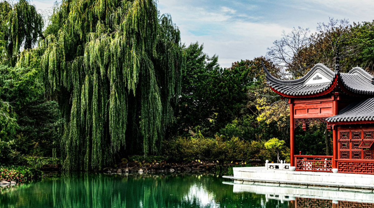 Pond and trees in Montreal Botanical Garden