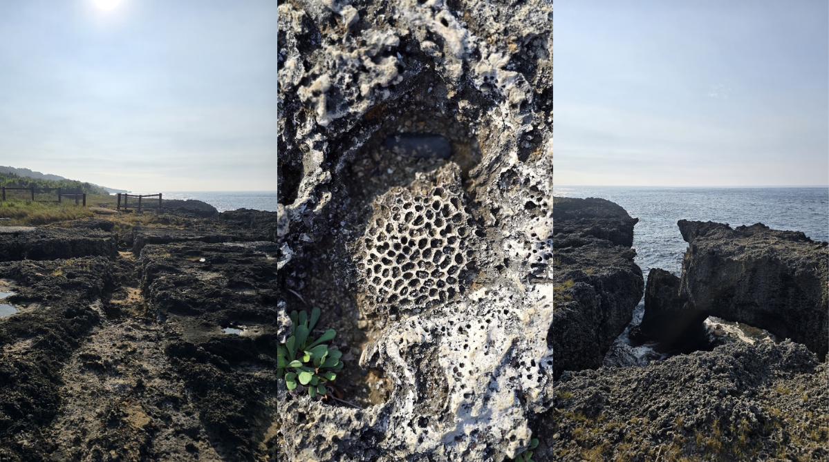 Houshi Shore (厚石海岸)