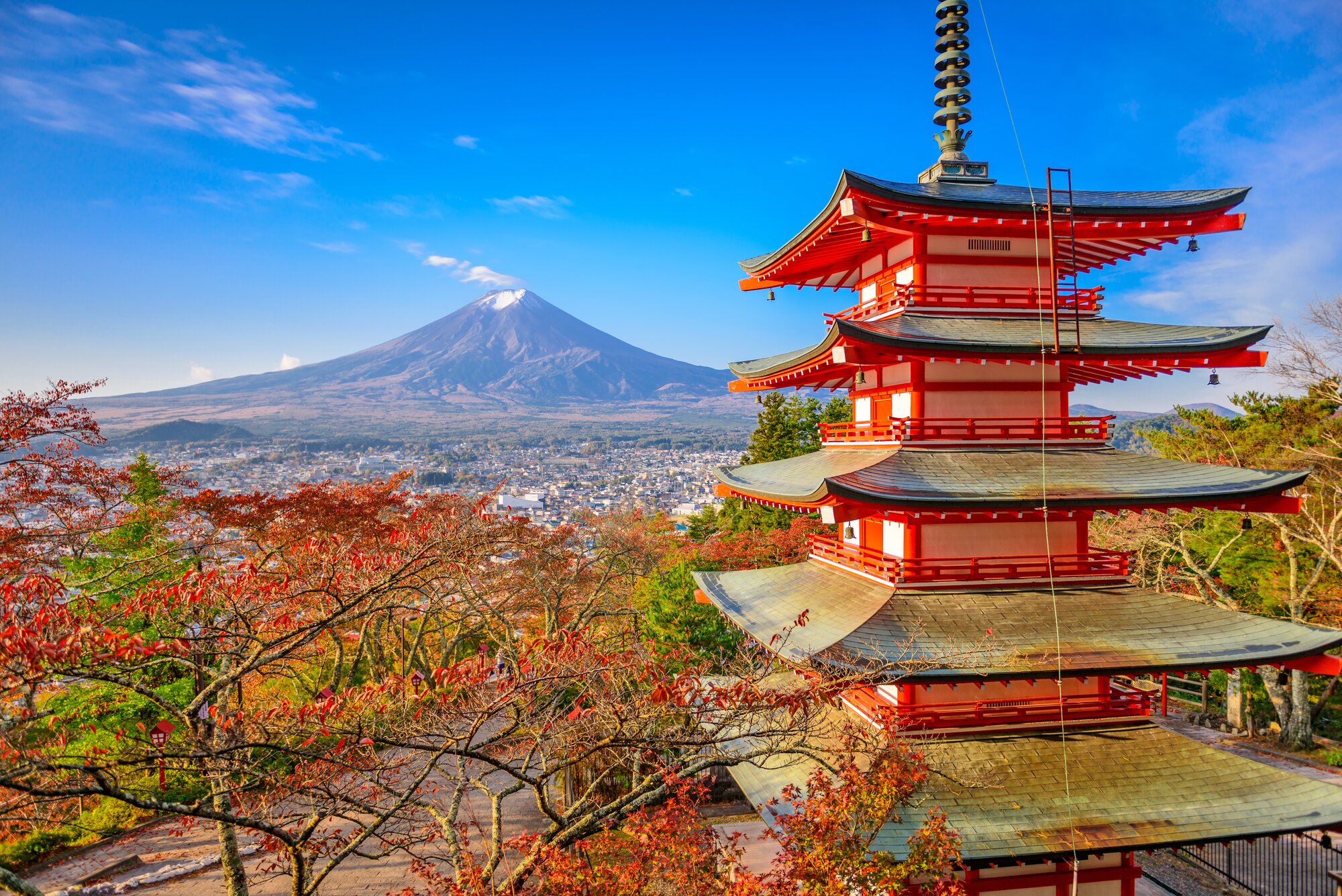 Weihnachten in Japan: Wie wird gefeiert & wo ist es am schönsten?