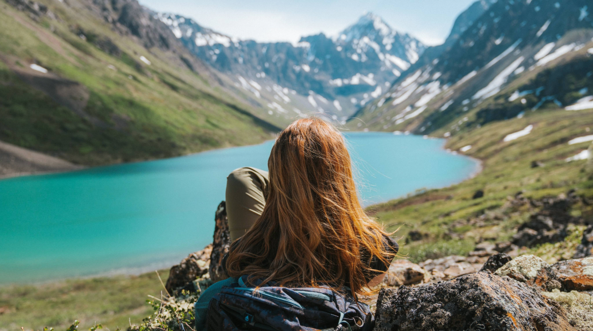 traveler in denali national park