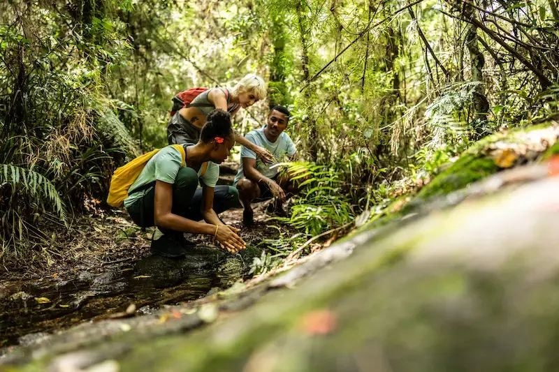 Viajeros explorando una zona de selva densa en Brasil.