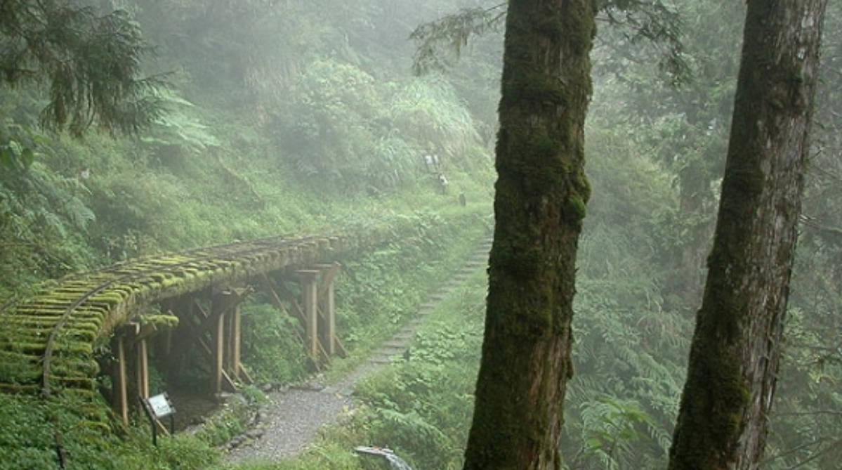 Abandoned railway track in the Taipingshan National Forest Recreation Area (太平山國家森林遊樂區)