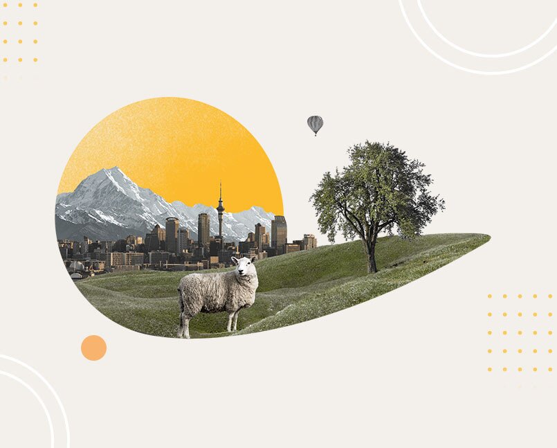 The Best Time To Visit New Zealand