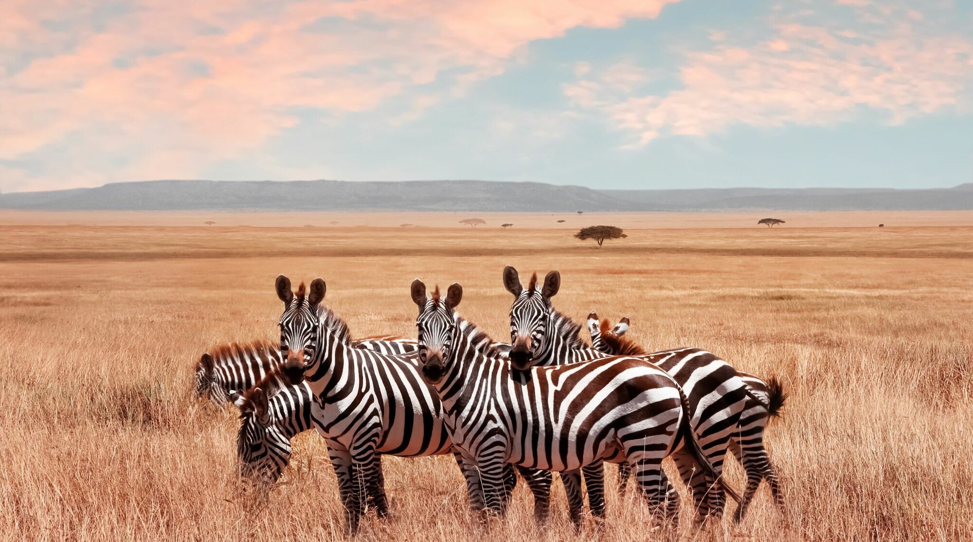 Serengeti National Park in Tanzania
