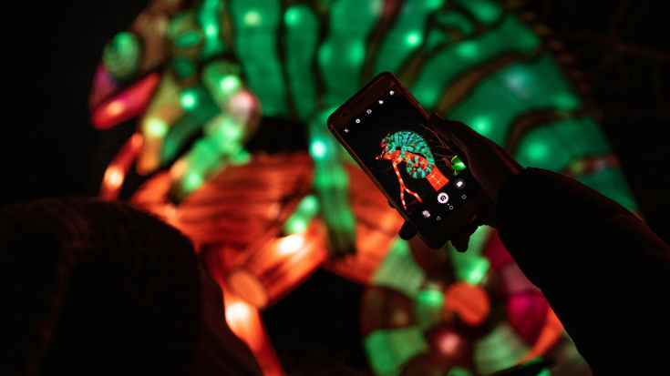 A photograph of a hand in the foreground holding a mobile phone, taking an image of a light installation that is in the shape of a chameleon. The chameleon is lit up in green and red. To illustrate a blog post entitled 'The Ultimate Sziget Festival Guide.' 