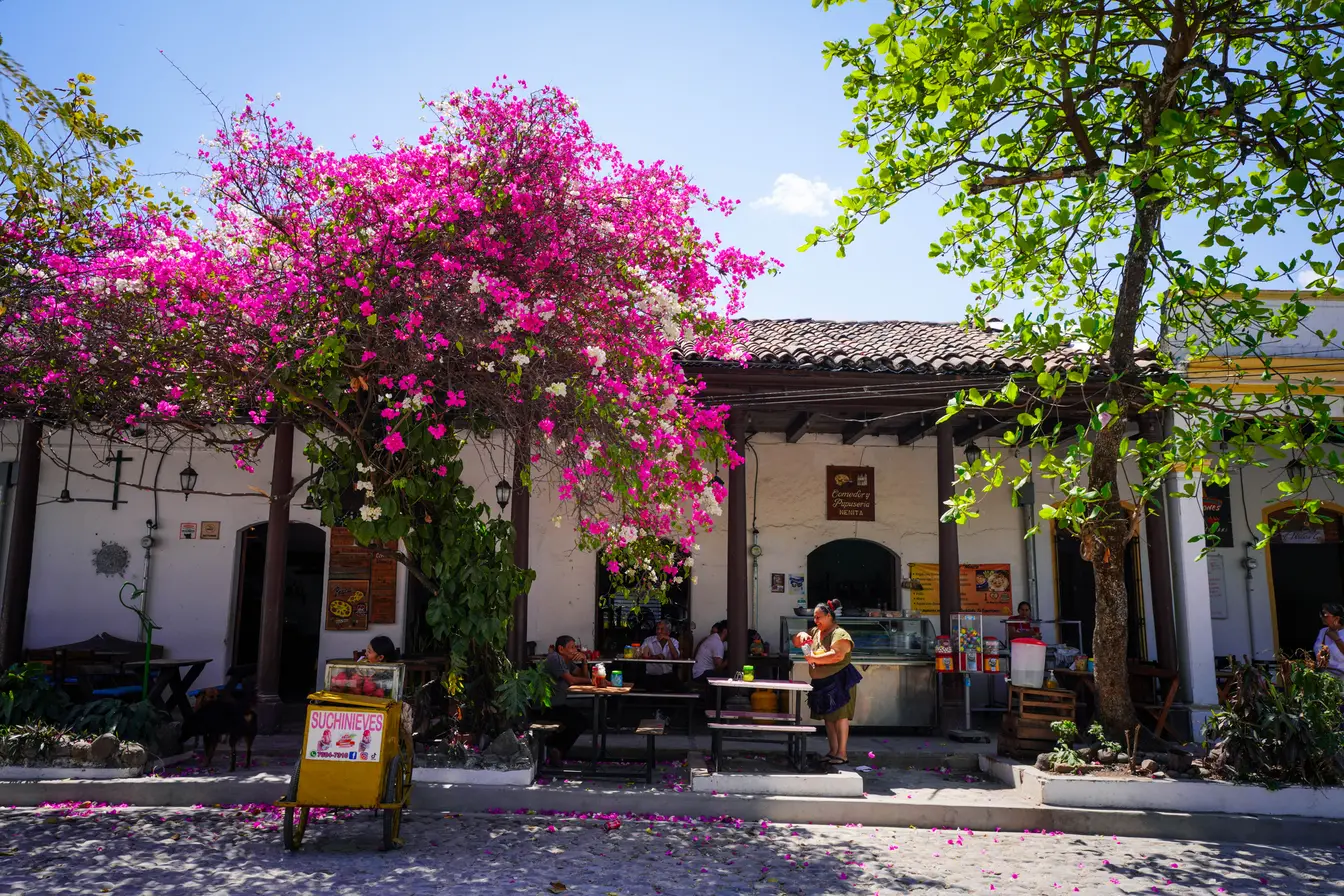 People sitting and eating outside, under a flower tree in Ataco, El Salvador.
