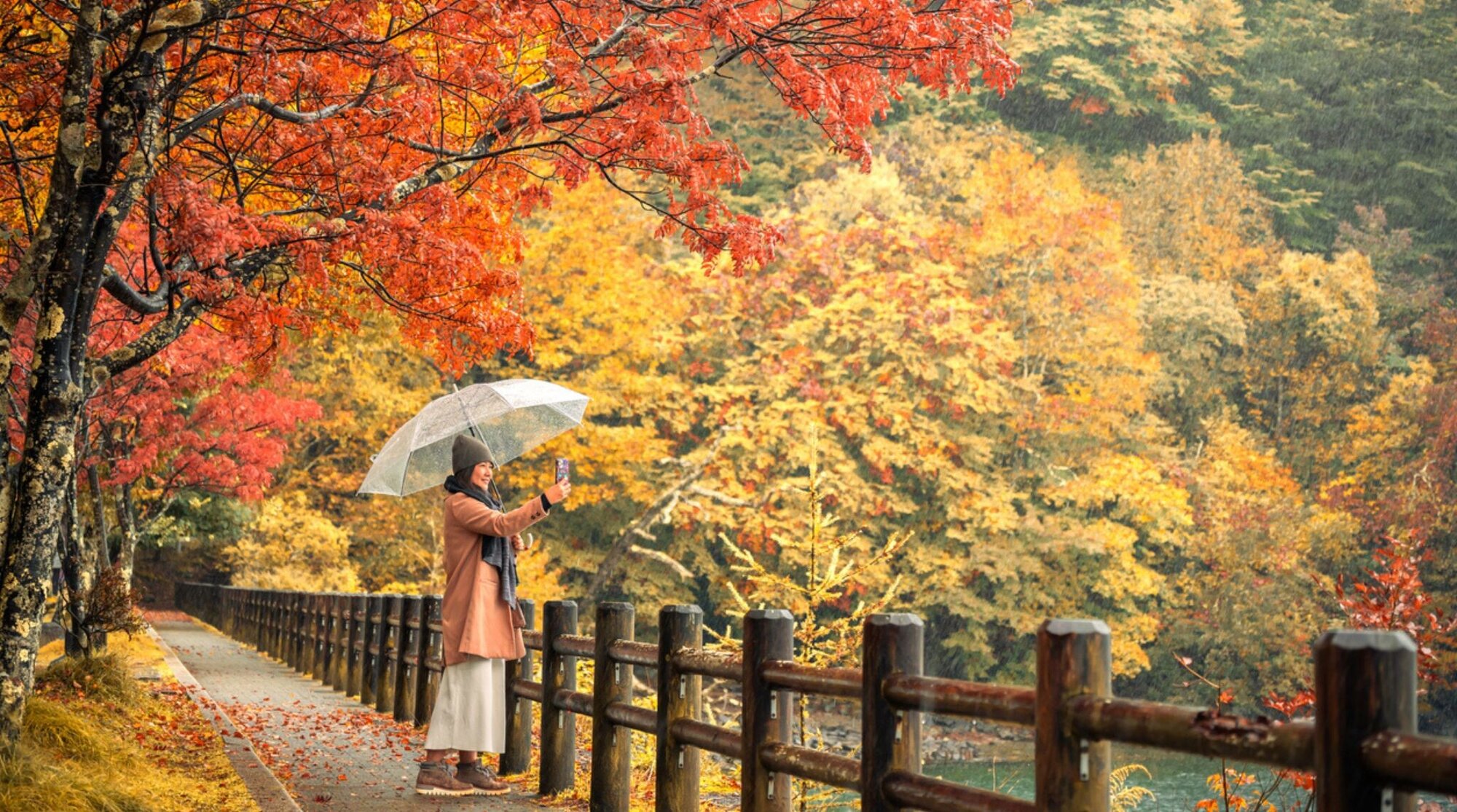 japon aux couleurs d'automne
