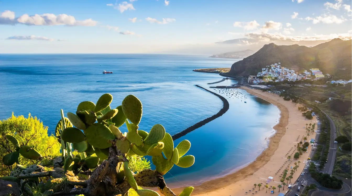 Vue sur la plage de Las Teresitas à Tenerife, avec son sable doré, ses palmiers et les montagnes en arrière-plan.