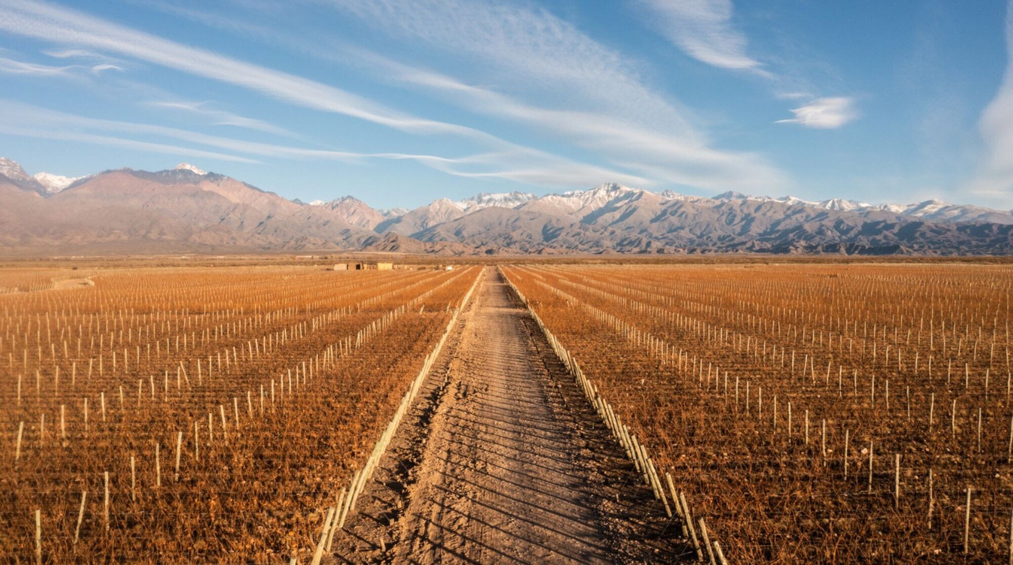vignoble a mendoza