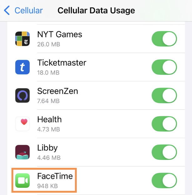 Cellular data usage FaceTime