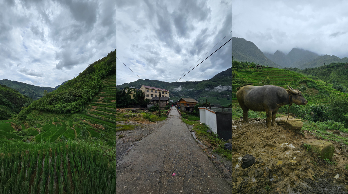 Hills and fields of Sapa