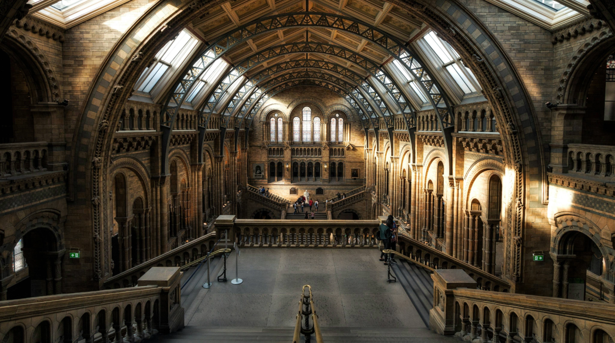 Inside the Natural History Museum, London
