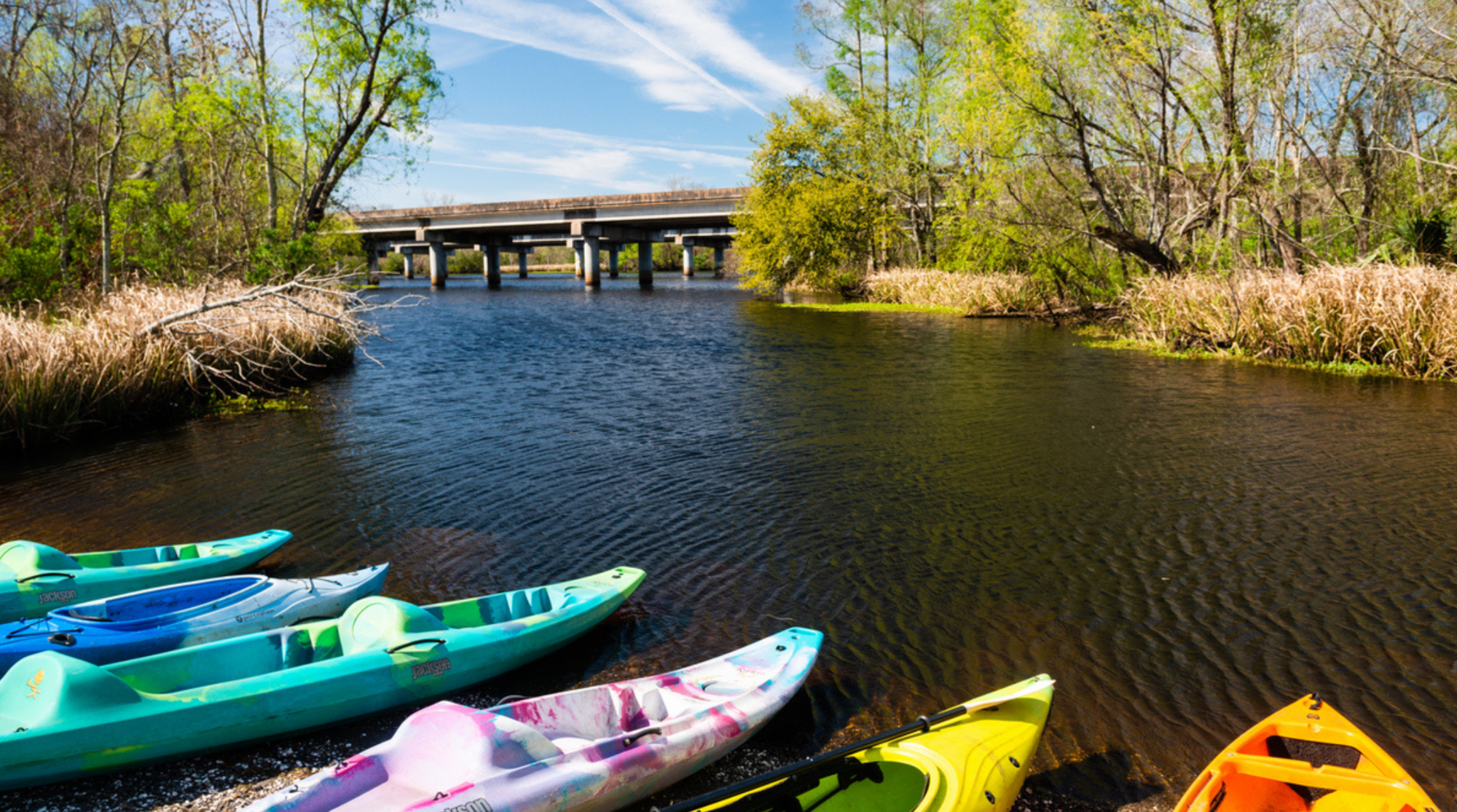 Manchac Swamp Bridge