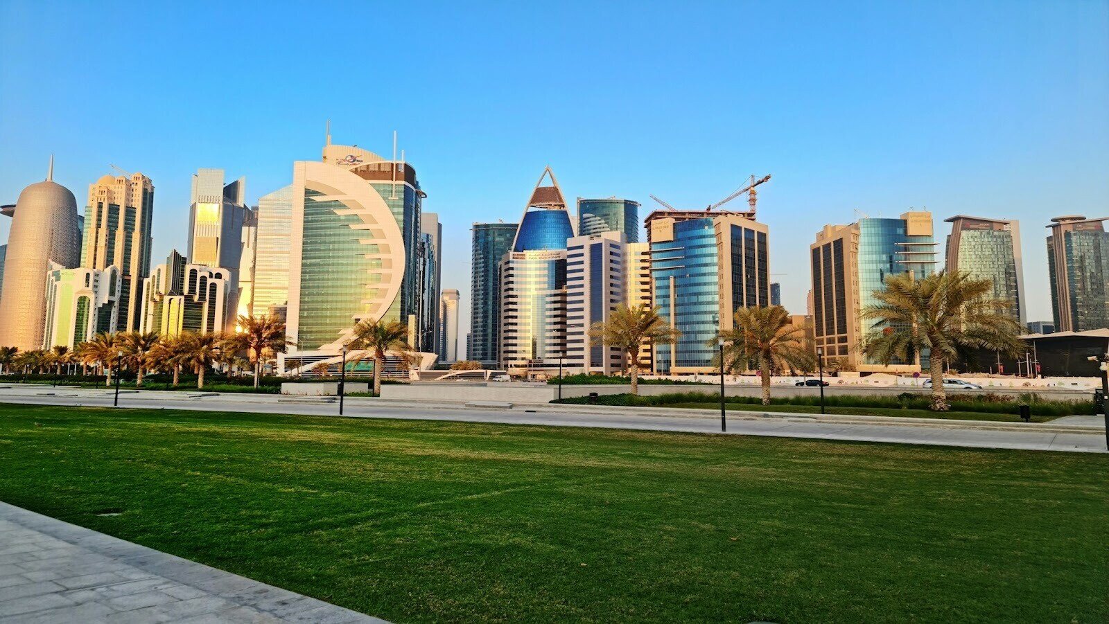 High rise buildings surrounded by trees during daytime