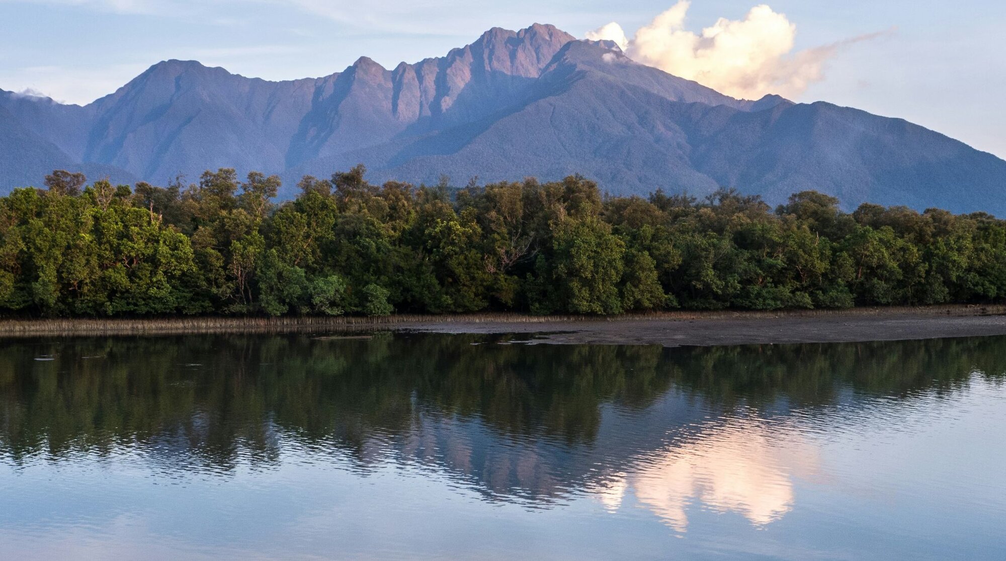 The jagged peaks of Mount Guiting-Guiting rising above the mangrove forests of Sibuyan Island.