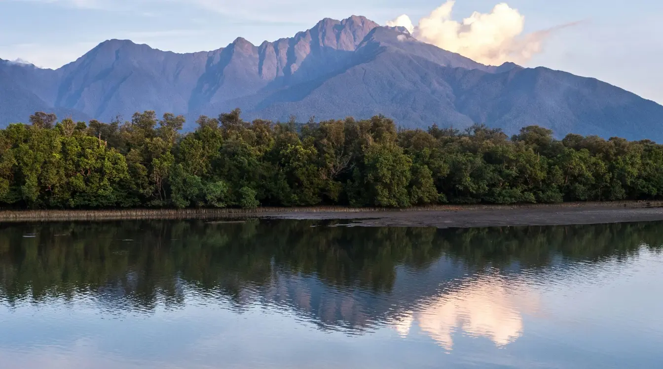 The jagged peaks of Mount Guiting-Guiting rising above the mangrove forests of Sibuyan Island.