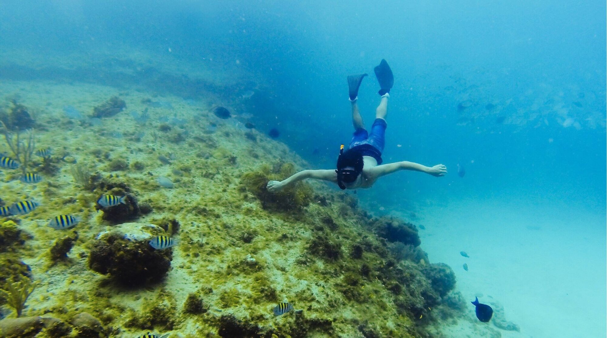 Jovem fazendo snorkeling com corais e peixes em San Andrés, Colômbia