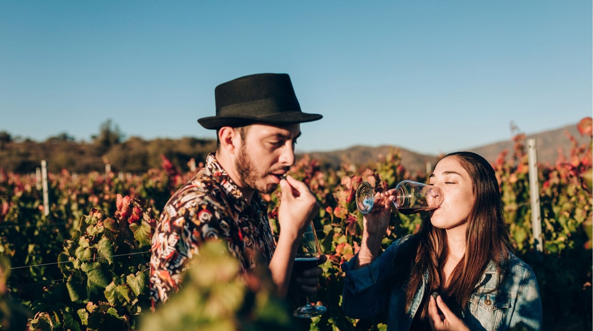 Turistas visitando vinícula no chile na época de colheita das uvas.
