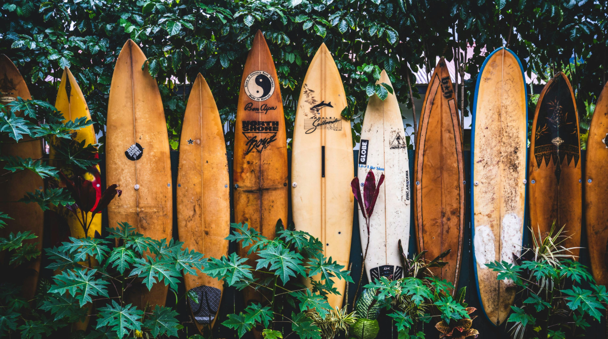 Surfboards lined up
