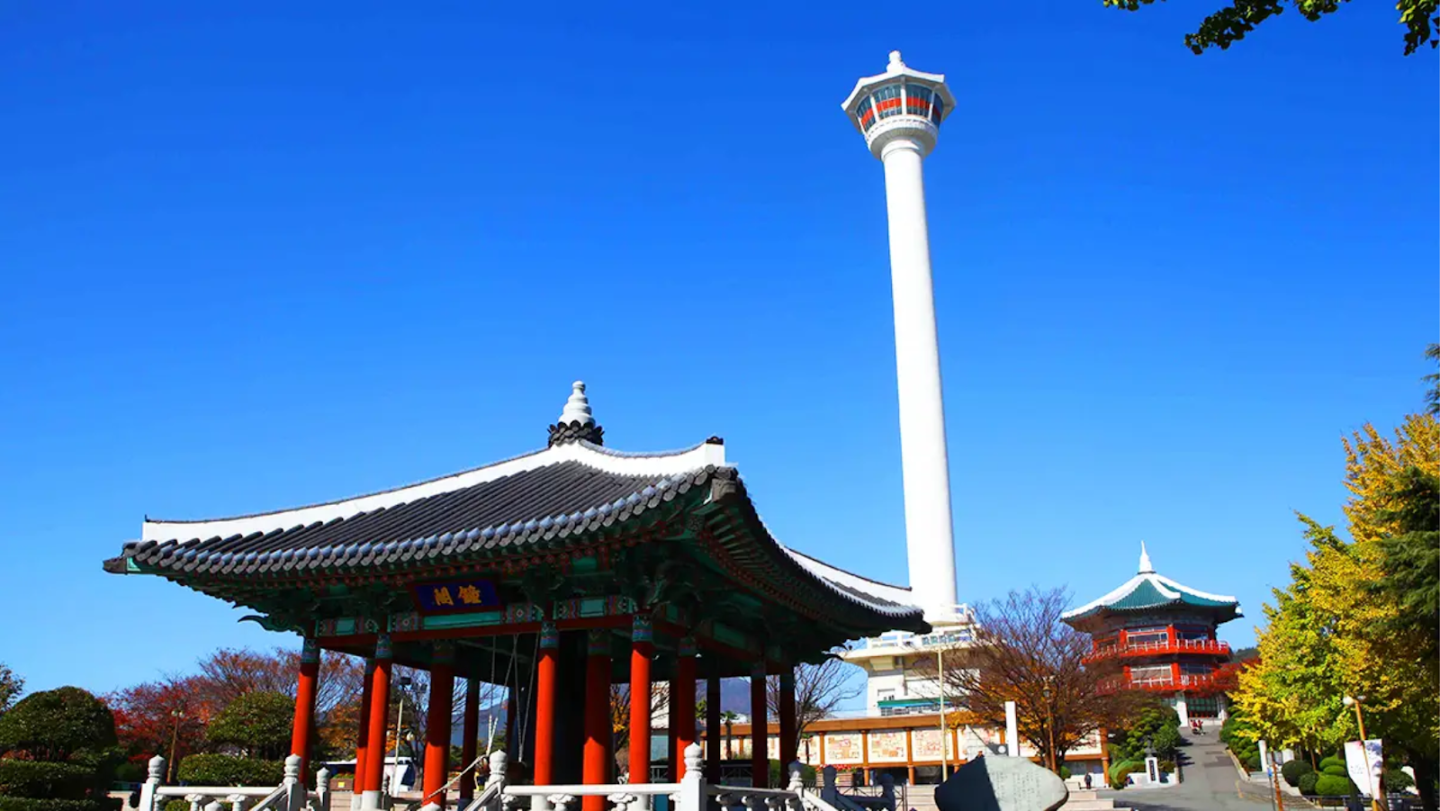 Busan Tower (부산타워)