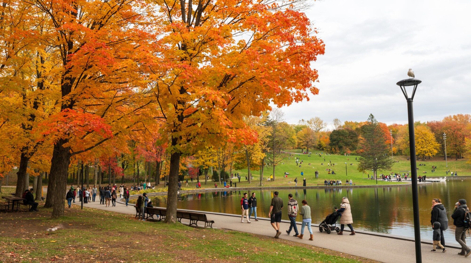 super destination pour voyager seule : montreal