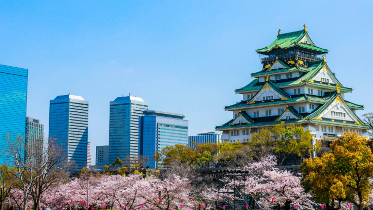 An image of Osaka Castle in the foreground and some Osaka skyscrapers in the background. The castle is surrounded by pink cherry blossoms and against it, the sky is blue and it is a sunny day, to illustrate the scene for travellers attending the Summer Sonic Festival in Osaka, Japan.