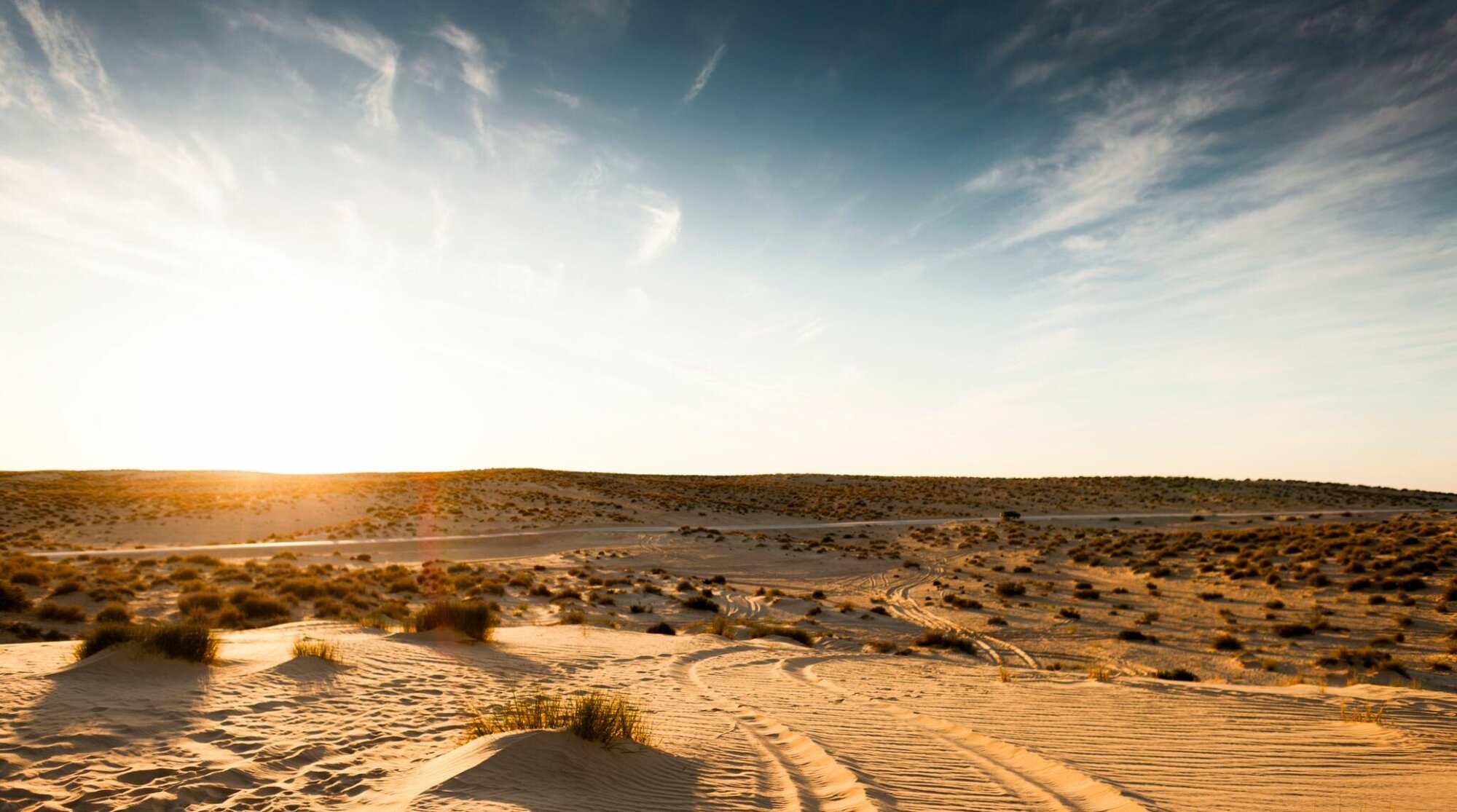 desert proche de tozeur
