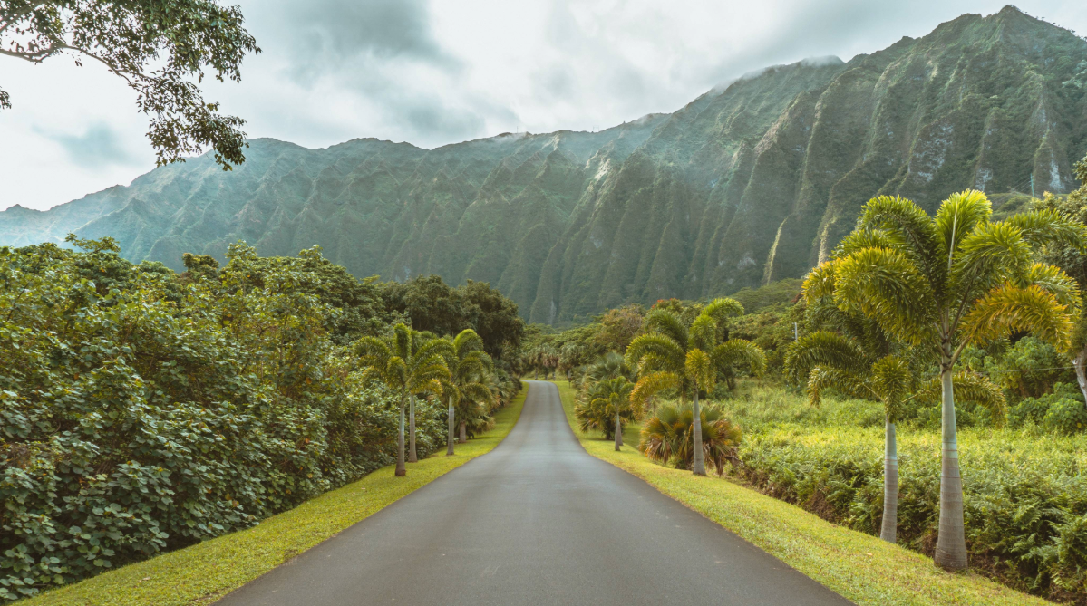Ho'omaluhia botanical garden