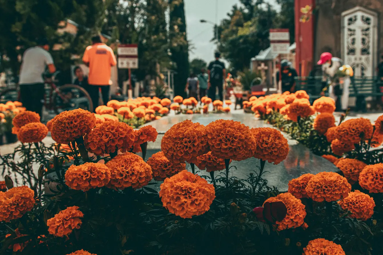 Imagen en primer plano de las flores de cempasúchil naranjas que decoran la tumba en un cementerio por el Día de los Muertos en Oaxaca